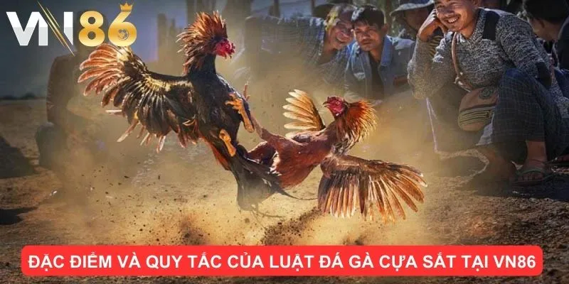 Đặc điểm và quy tắc của luật đá gà cựa sắt tại VN86